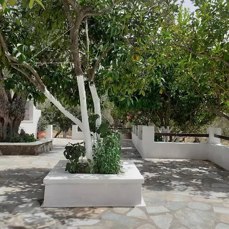 Tillia * Panormos (Skopelos)