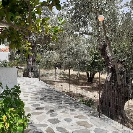 Tillia Holiday home Panormos (Skopelos)