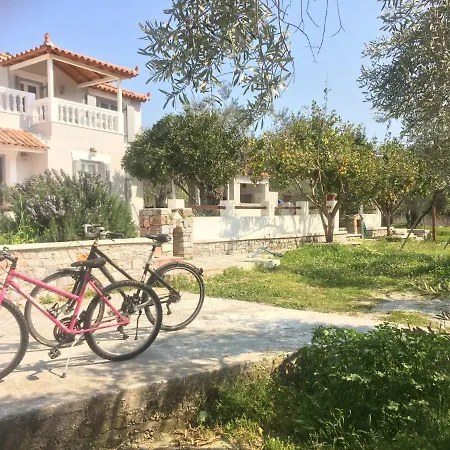 Dom wakacyjny Tillia *