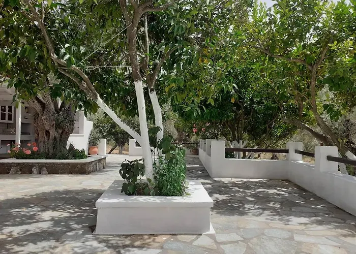 Tillia * Panormos (Skopelos)