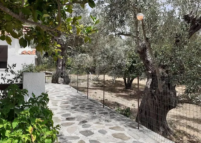 Tillia Holiday home Panormos (Skopelos)